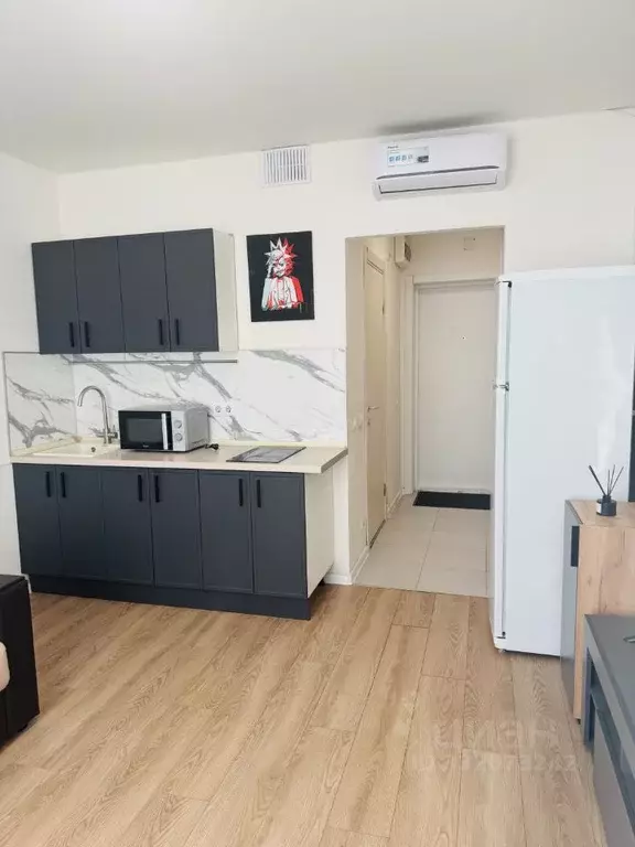 Студия Московская область, Красногорск ул. Видная, 3 (20.0 м) - Фото 1