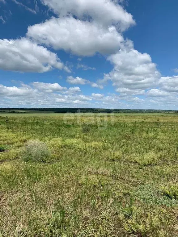 Участок в Липецкая область, Хлевенский район, Елец-Маланинский ... - Фото 1