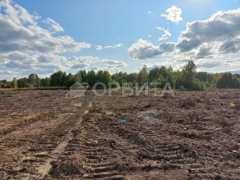 Участок в Тюменская область, Нижнетавдинский район, с. Тюнево  (10.0 ... - Фото 0