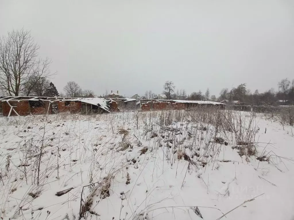 Участок в Московская область, Сергиево-Посадский городской округ, с. ... - Фото 1