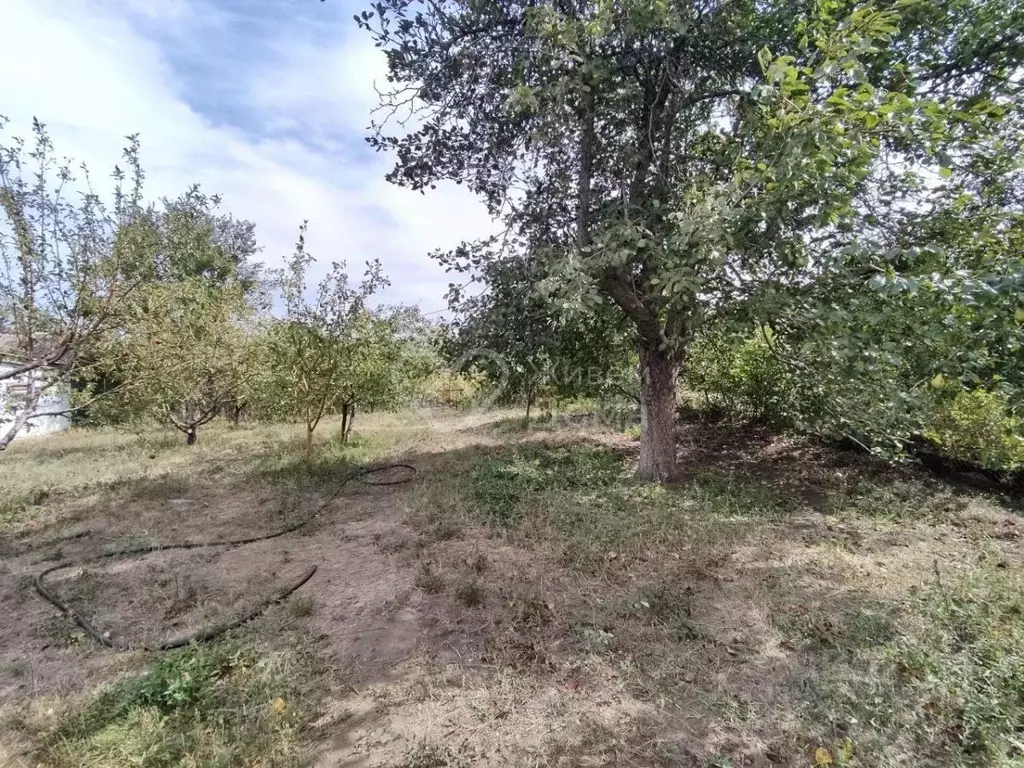 Участок в Волгоградская область, Волгоград Рекорд СНТ, 9-я линия (4.8 ... - Фото 2