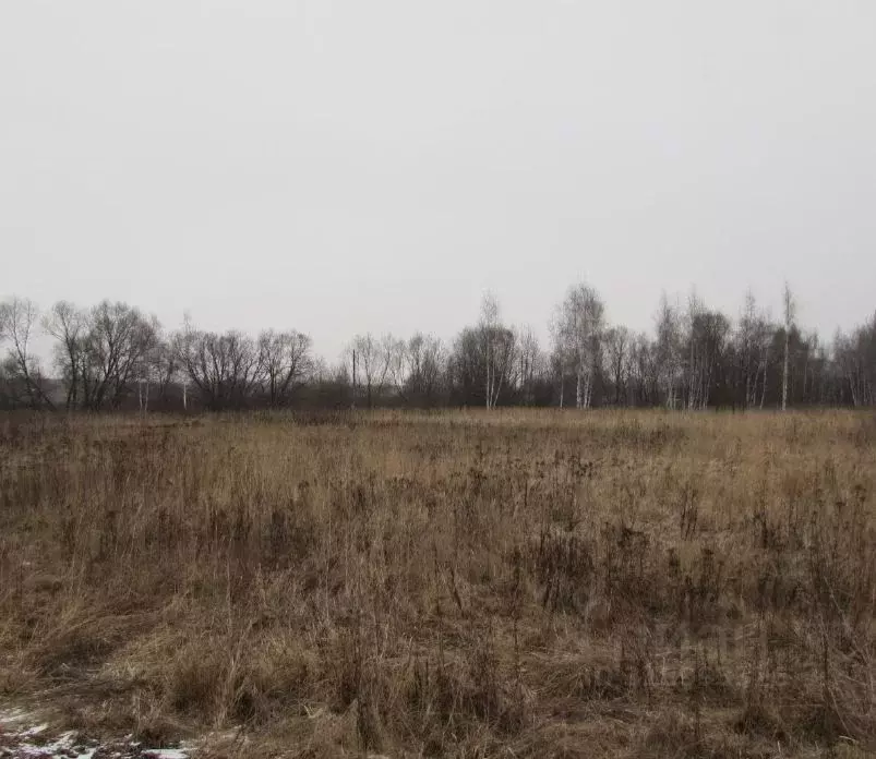 Участок в Московская область, Коломна городской округ, д. Жиливо  ... - Фото 0