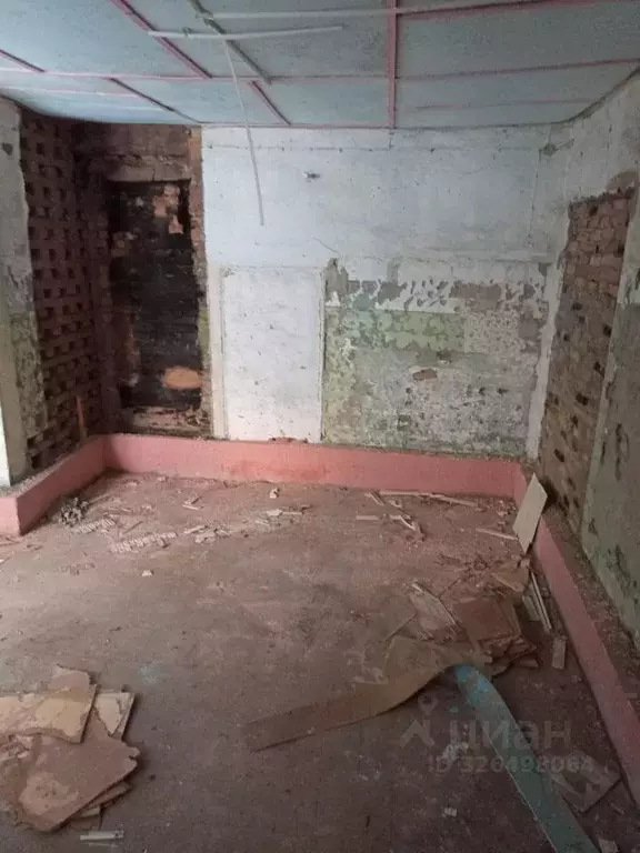 Помещение свободного назначения в Алтайский край, Зональный район, с. ... - Фото 2