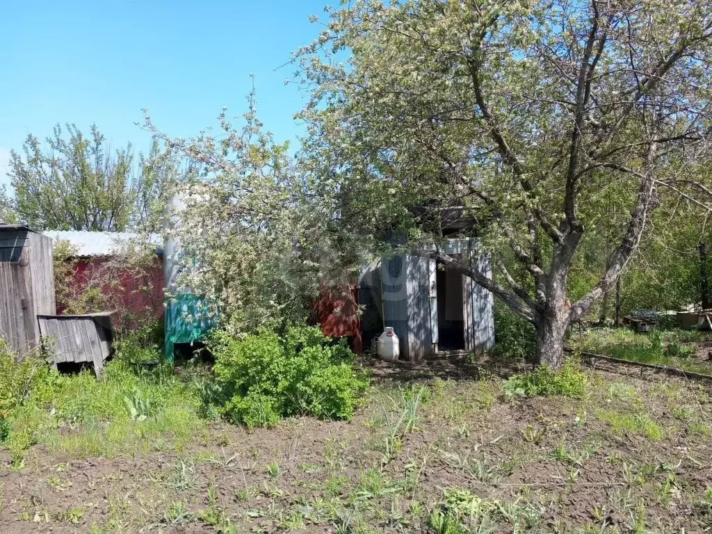 Участок 8 сот. (СНТ, ДНП) - Фото 1