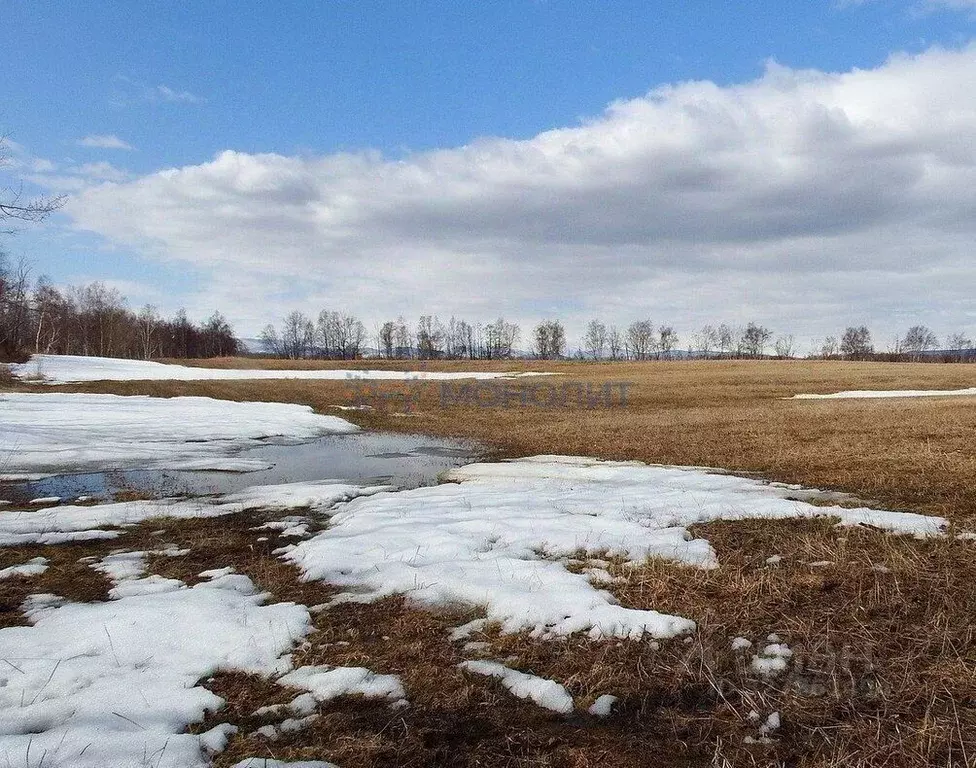 Участок в Нижегородская область, Сергачский муниципальный округ, с. ... - Фото 2