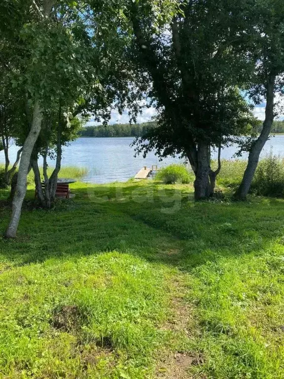 Участок в Ленинградская область, Приозерский район, Раздольевское ... - Фото 0