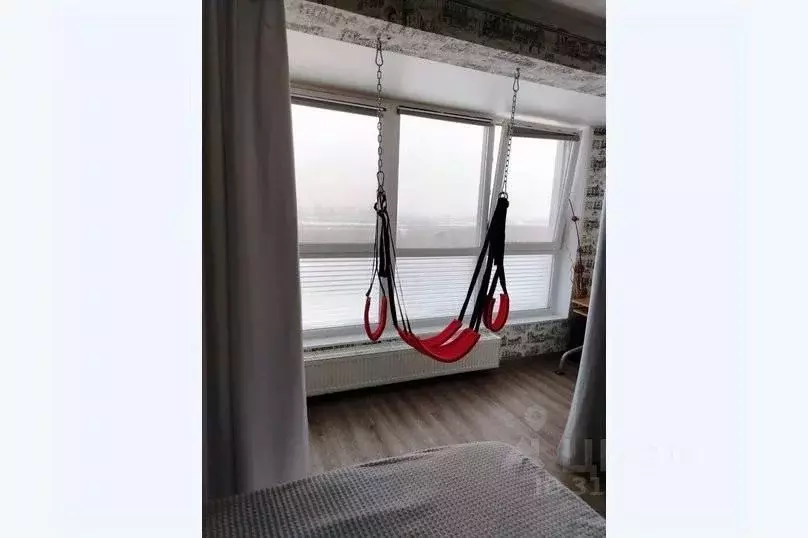 1-к кв. Новосибирская область, Новосибирск ул. Немировича-Данченко, ... - Фото 0