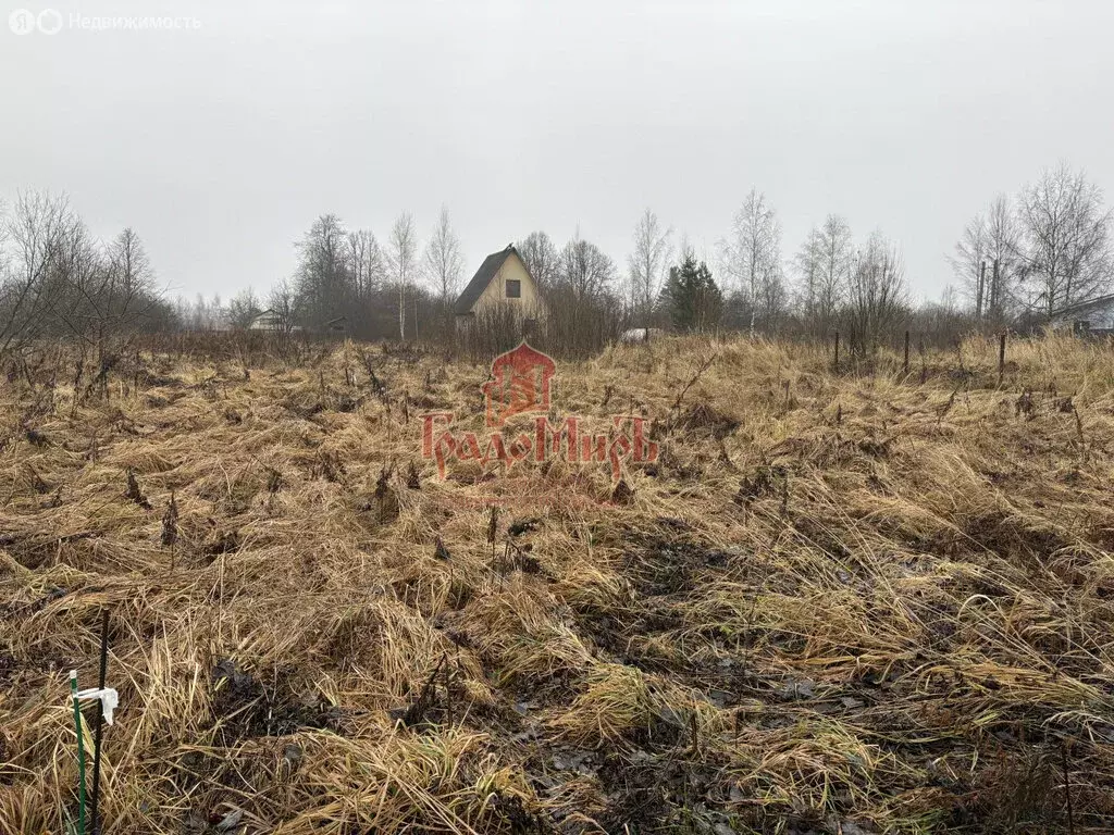 Участок в Сергиево-Посадский городской округ, деревня Новожёлтиково ... - Фото 2