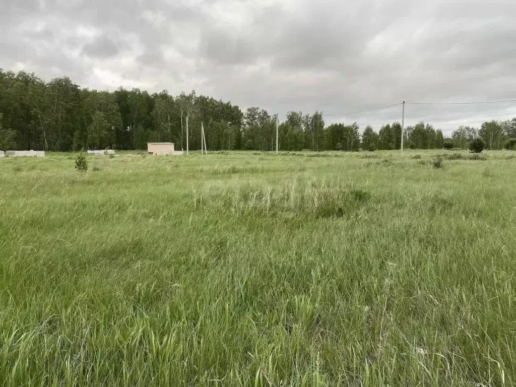 Участок в Курганская область, Кетовский муниципальный округ, д. ... - Фото 2