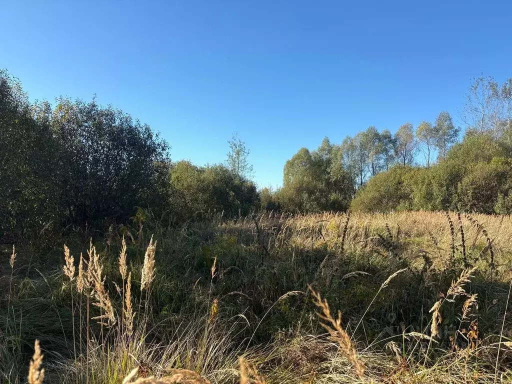 Участок в Московская область, Воскресенск городской округ, Имени ... - Фото 1