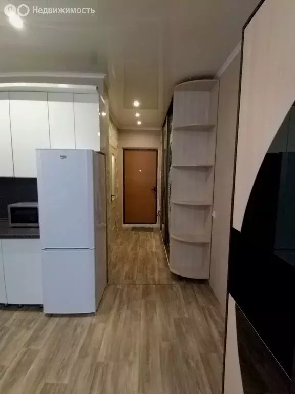 Квартира-студия: село Засечное, Светлая улица, 12 (28 м) - Фото 1