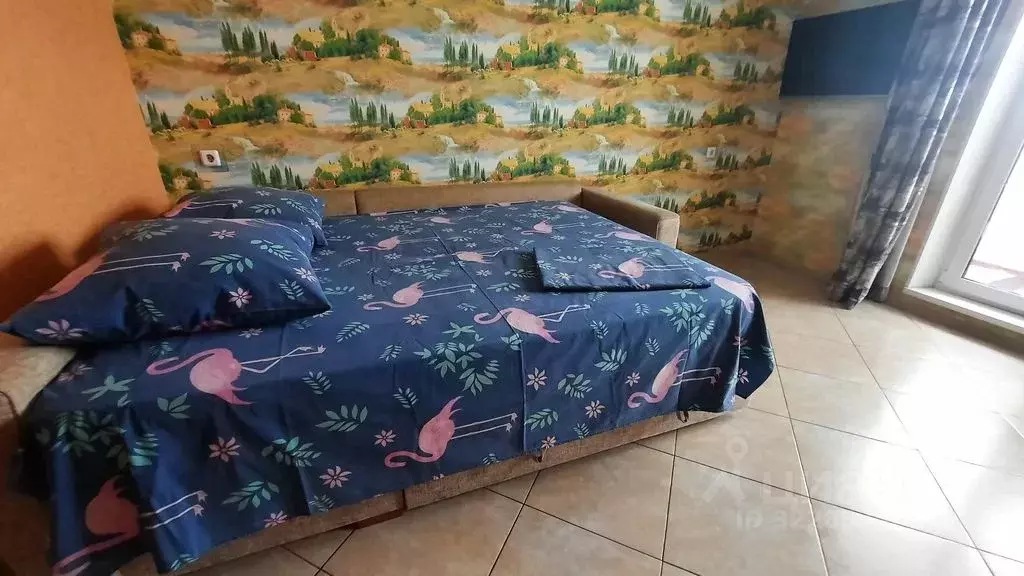 1-к кв. Челябинская область, Миасс ул. Колесова, 1 (24.0 м) - Фото 1