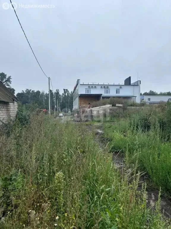 Участок в Благовещенский район, Ильино-Полянский сельсовет, СТ ... - Фото 1