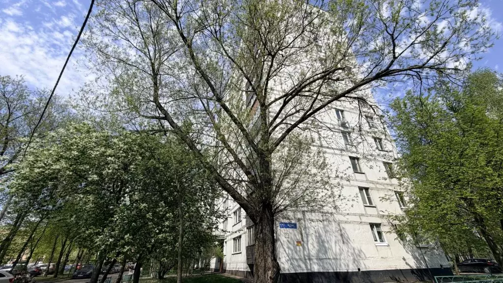 3-к кв. Московская область, Одинцово ул. Чикина, 11 (65.8 м) - Фото 1