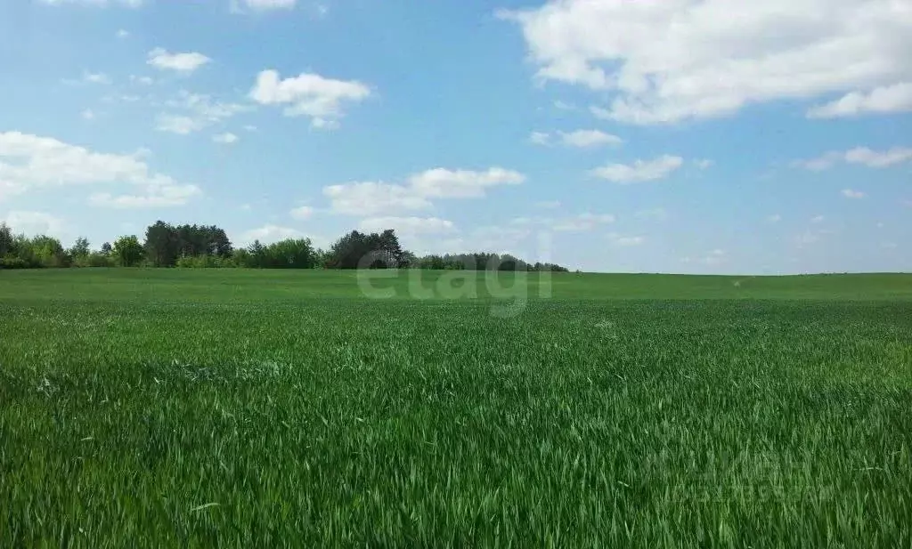 Участок в Башкортостан, Уфимский район, Миловский сельсовет, Мечта СНТ ... - Фото 1