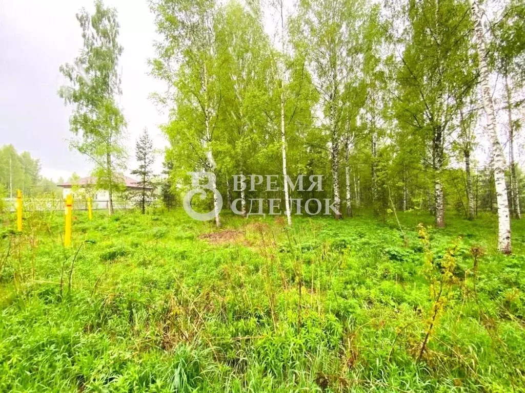 Участок в Владимир, Большая Лукинская улица, 48 (12 м) - Фото 2