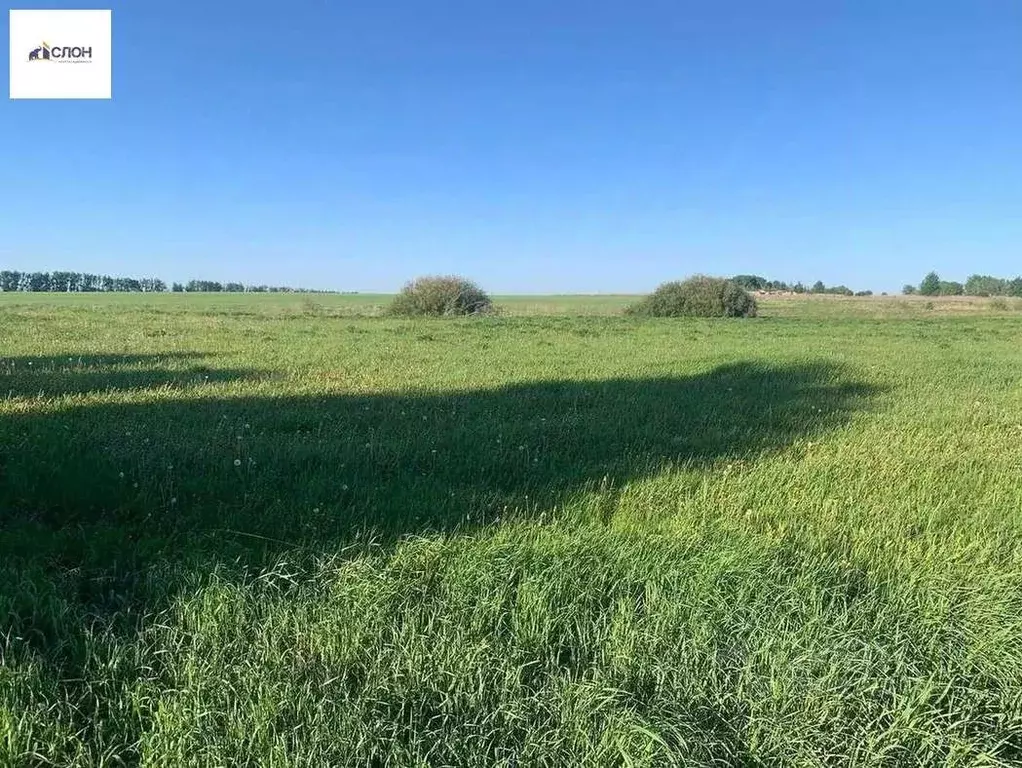 Участок в Воронежская область, Новоусманский район, Тимирязевское ... - Фото 0