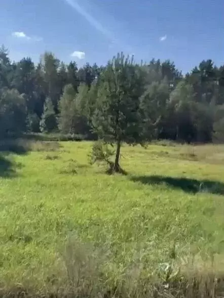 Участок в Новгородская область, Валдайский район, Короцкое с/пос, д. ... - Фото 2