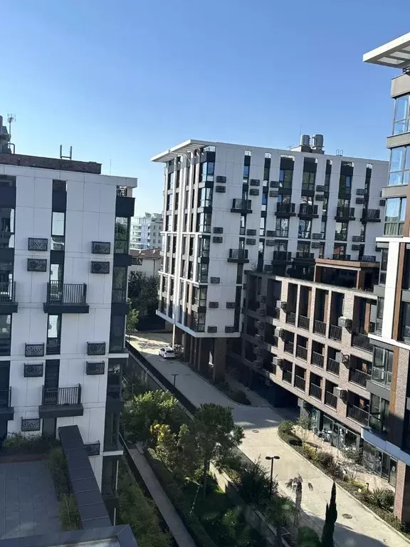 3-к кв. Краснодарский край, Сочи Курортный просп., 96Г (106.0 м) - Фото 2