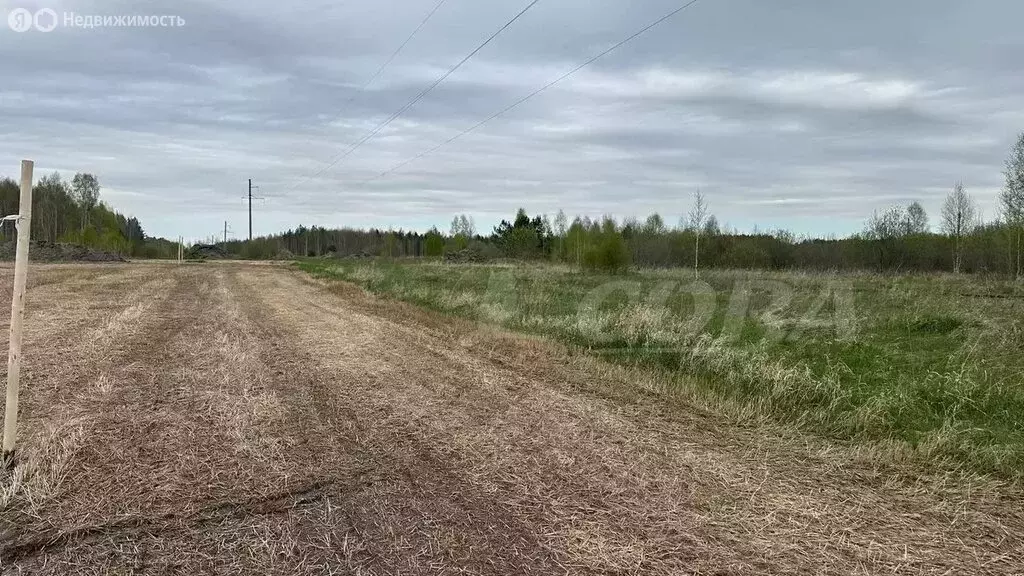 Участок в Свердловская область, Тугулымский муниципальный округ, ... - Фото 1