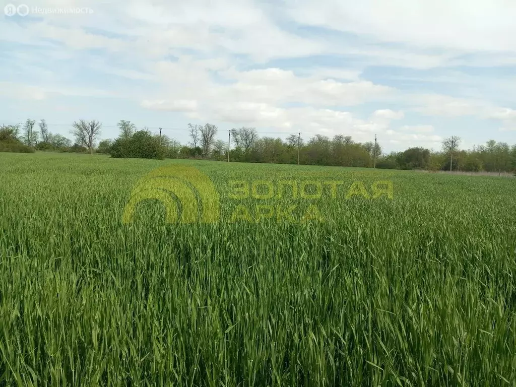 Участок в Темрюк, садово огородное товарищество Стимул (8 м) - Фото 1