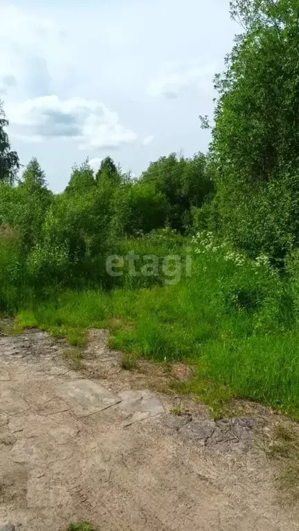 Участок в Архангельская область, Холмогорский муниципальный округ, д. ... - Фото 0