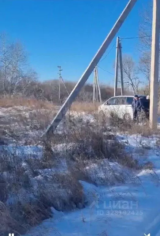Участок в Амурская область, Благовещенский район, с. Усть-Ивановка ул. ... - Фото 2