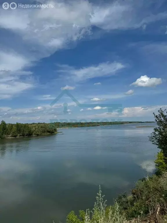 Участок в Белоярка, Дачная улица, 1А (10.99 м) - Фото 0
