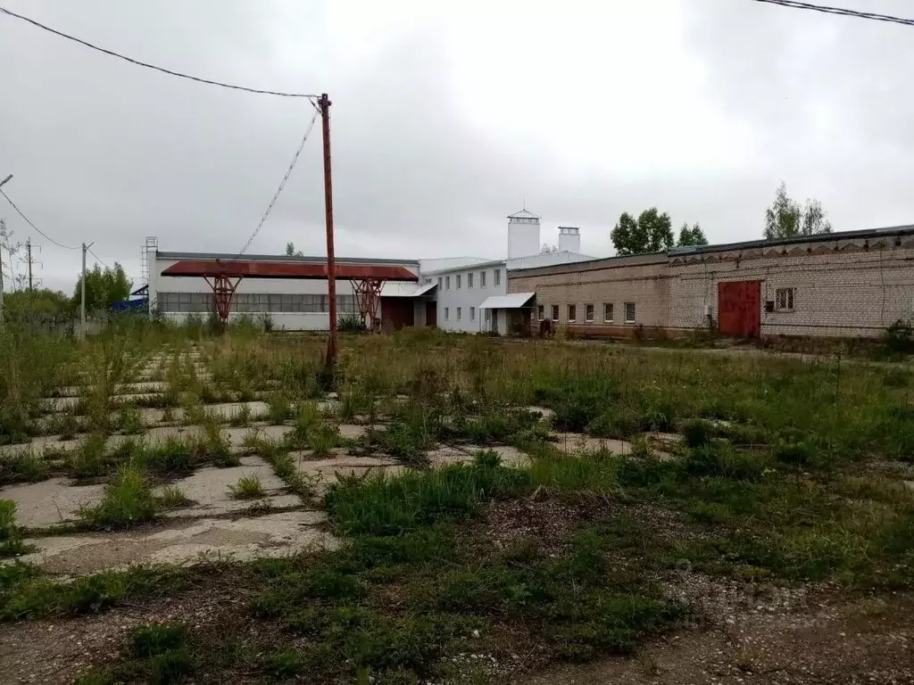 Производственное помещение в Калужская область, Калуга Дальняя ул. ... - Фото 1