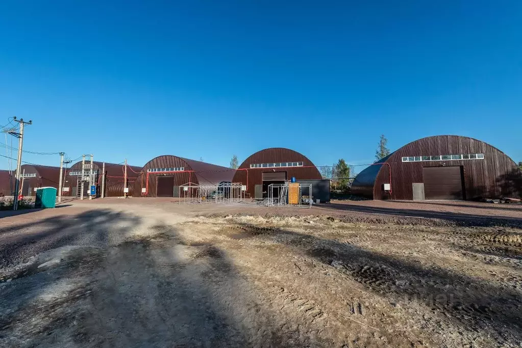 Помещение свободного назначения в Ленинградская область, Гатчинский ... - Фото 1