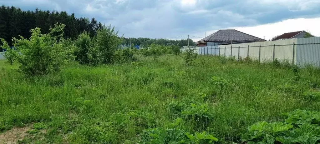 Участок в Московская область, Истра муниципальный округ, д. Бужарово  ... - Фото 2