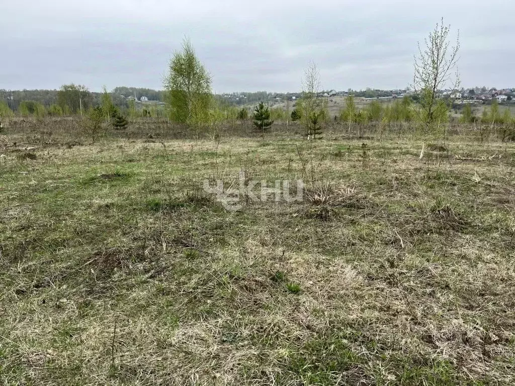 Участок в Нижегородская область, Богородский муниципальный округ, ... - Фото 1