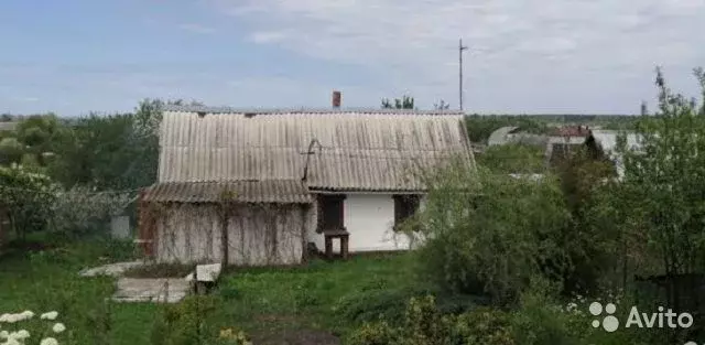 Деревня богданово воронежская