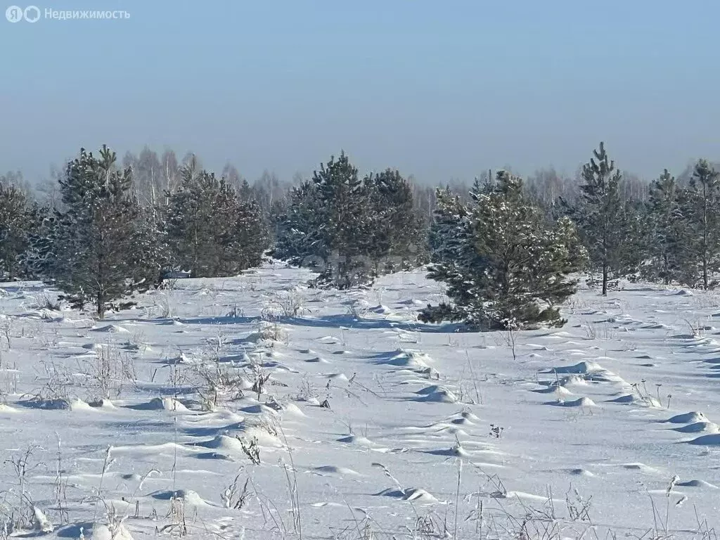 Участок в село Фирсово, микрорайон Рощино (8 м) - Фото 1