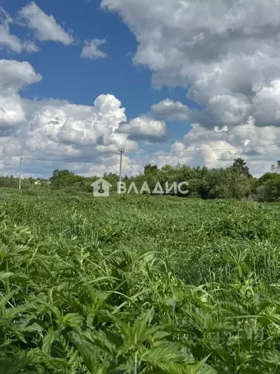 Участок в Нижегородская область, Дальнеконстантиновский муниципальный ... - Фото 2
