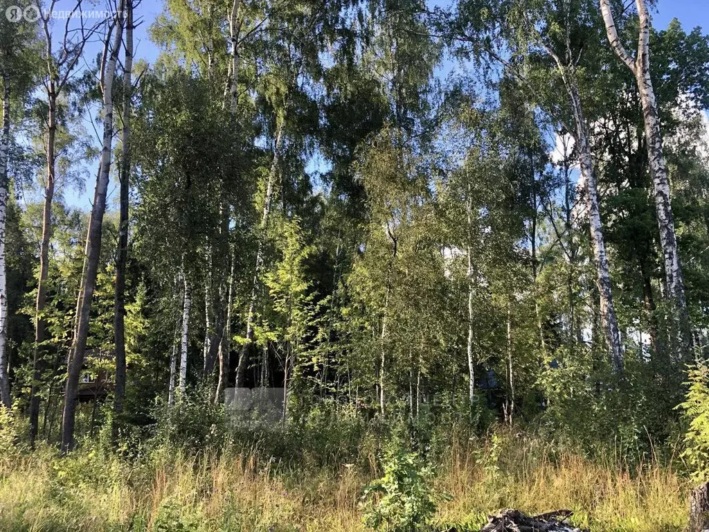 Участок в Московская область, городской округ Мытищи, деревня ... - Фото 2