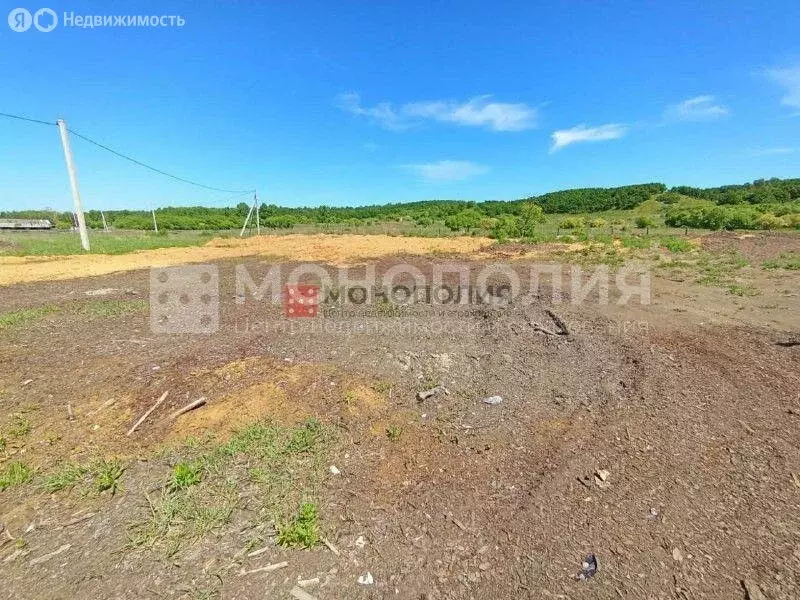 Участок в Амурская область, Серышевский муниципальный округ, село ... - Фото 0