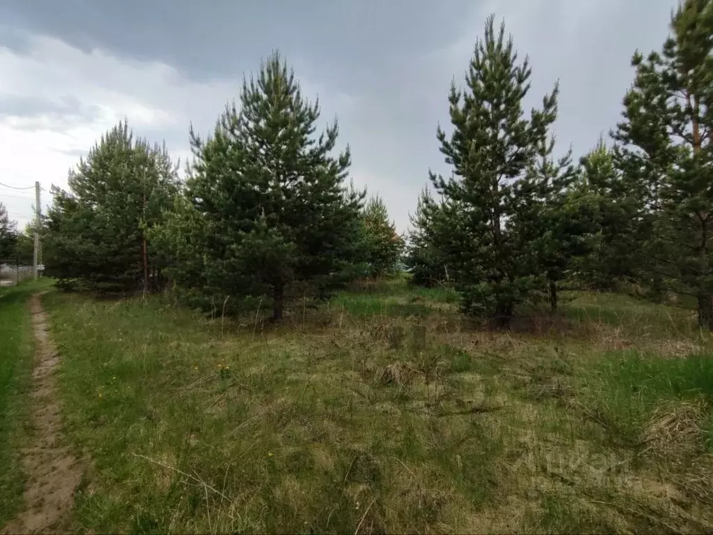 Участок в Челябинская область, Красноармейский муниципальный округ, ... - Фото 2