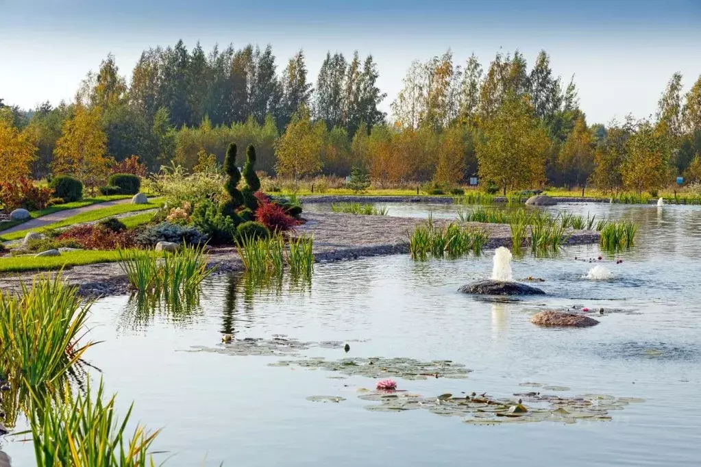 Участок в Ленинградская область, Выборгский район, Первомайское с/пос, ... - Фото 2