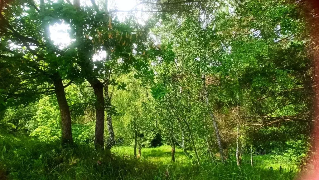 Дом в Калужская область, Бабынинский район, Муромцево с/пос, д. ... - Фото 1