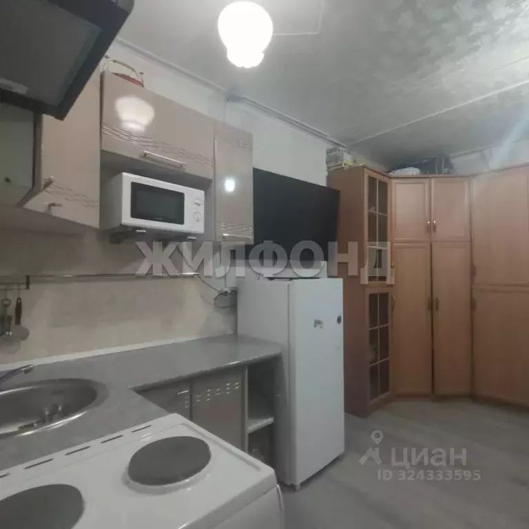 1-к кв. Новосибирская область, Новосибирск ул. Есенина, 9/1 (18.5 м) - Фото 1