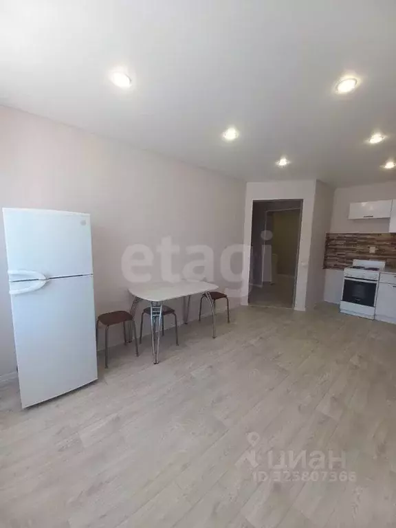 1-к кв. Амурская область, Благовещенский район, с. Чигири Восточная ... - Фото 2