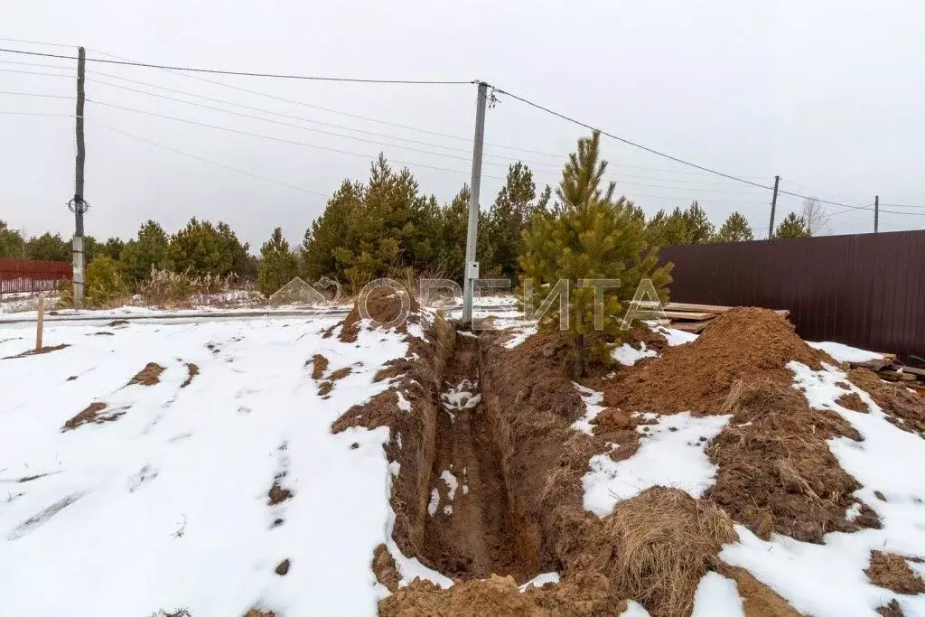 Участок в Тюменская область, Нижнетавдинский район, Геолог-2 СНТ 5-я ... - Фото 2