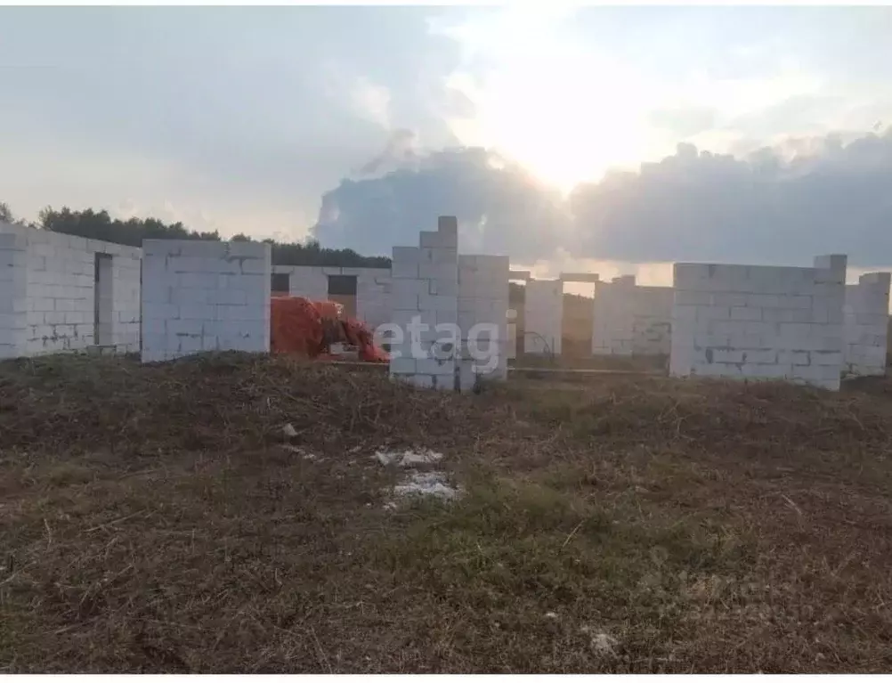 Участок в Воронежская область, Семилукский район, с. Девица, ... - Фото 1