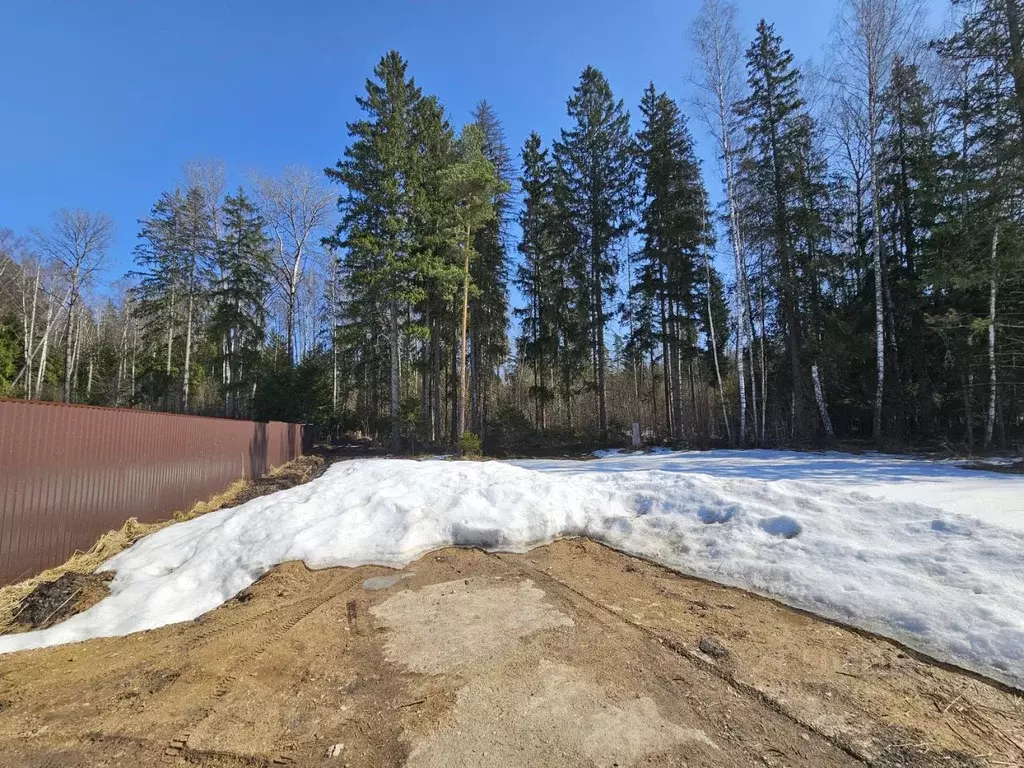 Участок в Московская область, Волоколамский муниципальный округ, ... - Фото 2
