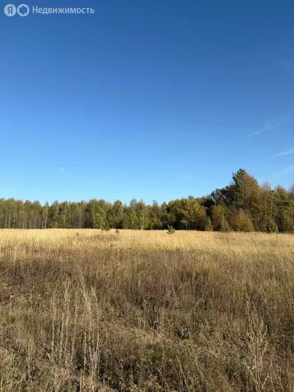 Участок в Лаишевский район, село Сокуры (6 м) - Фото 1