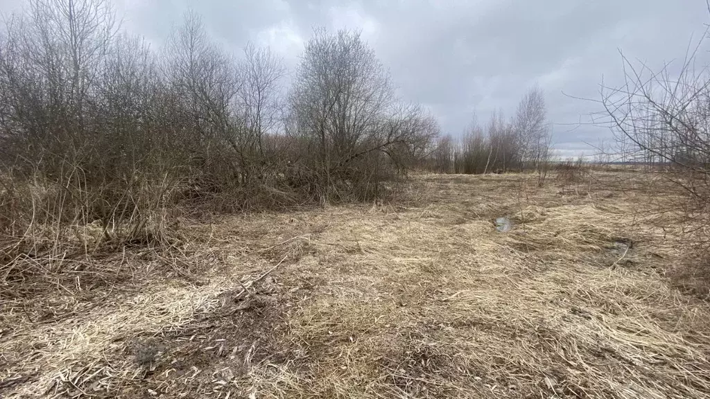 Участок в Московская область, Клин городской округ, д. Спас-Коркодино  ... - Фото 0