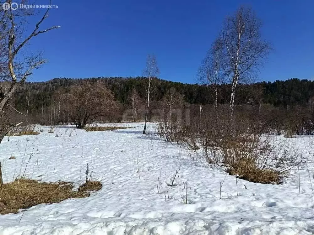 Участок в Чойский район, село Салганда (24.39 м) - Фото 2