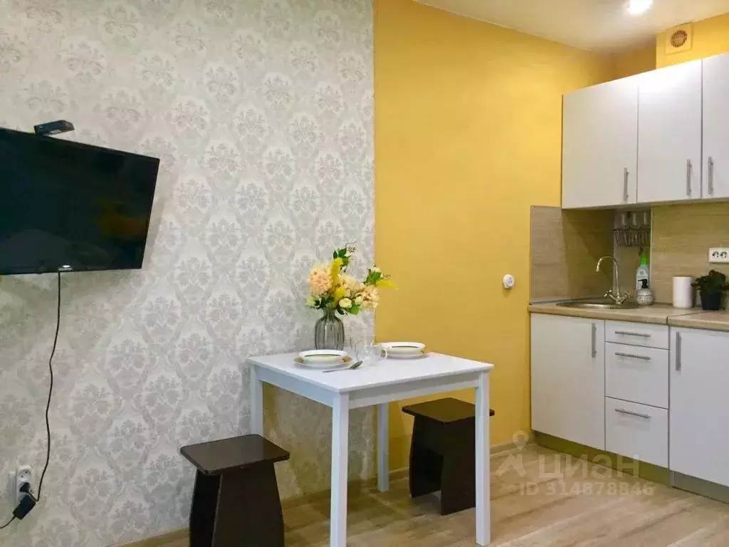 Студия Новосибирская область, Новосибирск ул. Виктора Уса, 7 (22.0 м) - Фото 1
