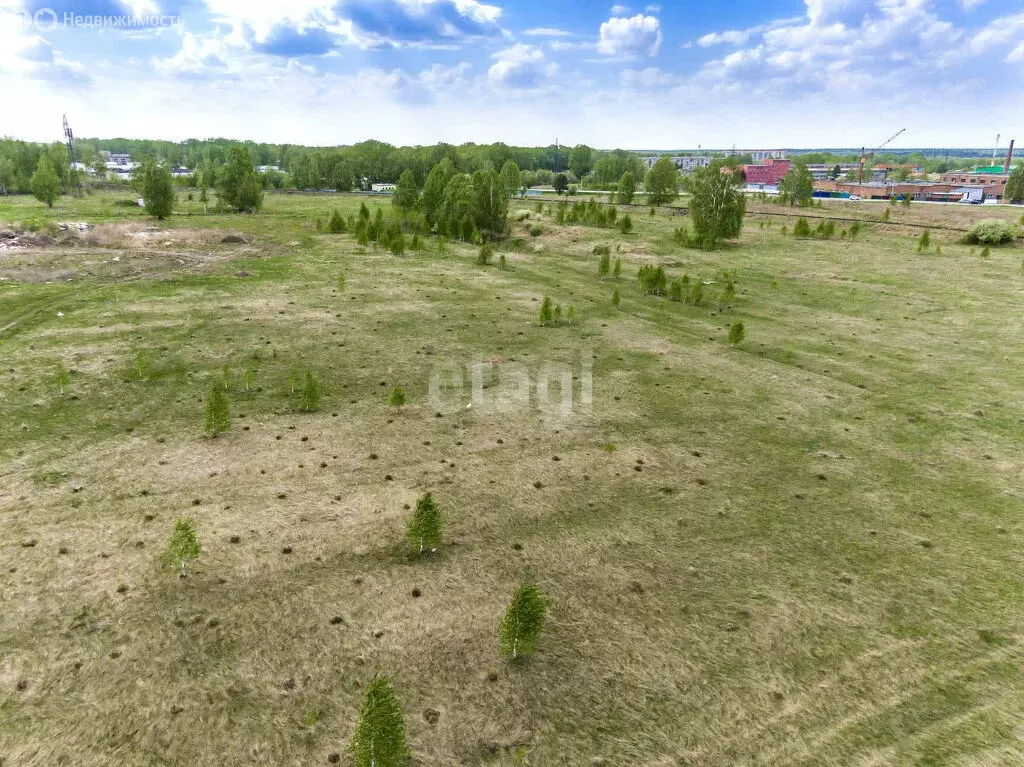 Участок в Новосибирский район, Кудряшовский сельсовет, СНТ Волна (9.9 ... - Фото 0